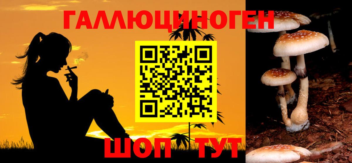 Галлюциногенные грибы ЛСД  Вход с VPN  Великий Новгород 